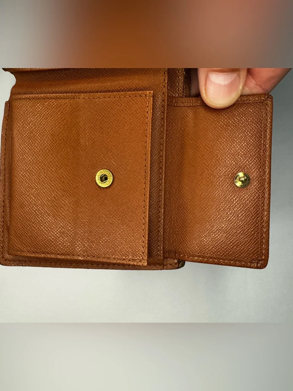 Louis Vuitton classic louis